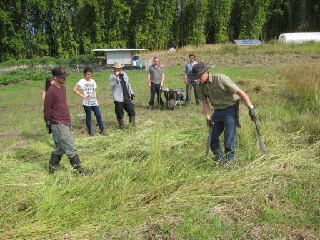 Permaculture Tools workshop at Zaytuna Farm with Danial Lawton 27-29 May 2013 4